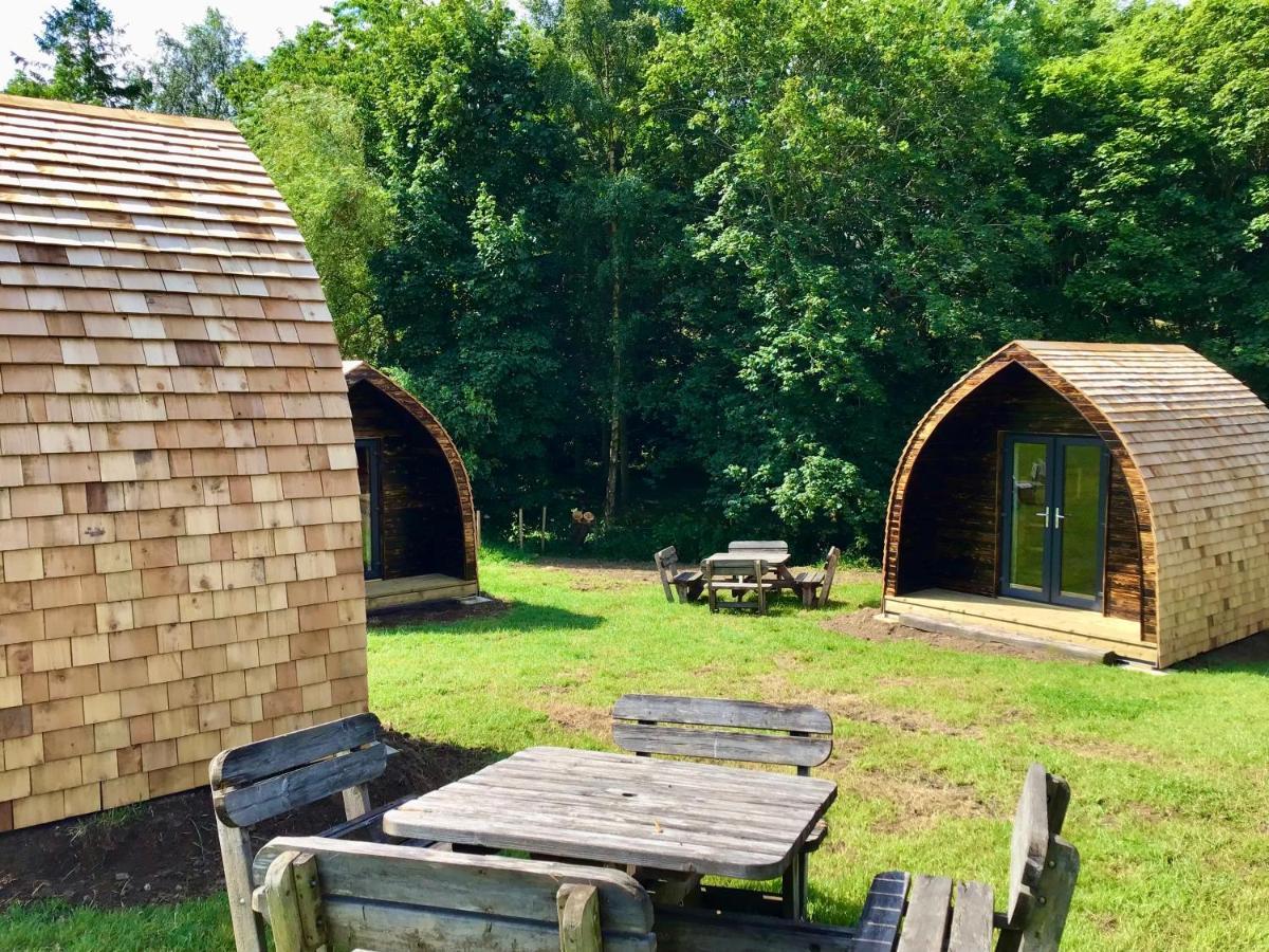 Alder Pod, Clay Bank Huts Hotel Ingleby Greenhow Ngoại thất bức ảnh